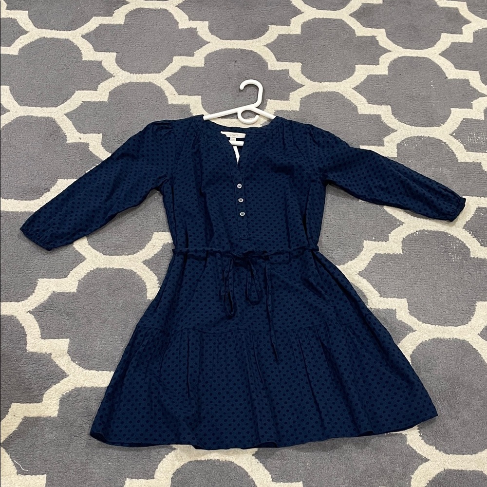 LOFT Navy Blue Casual Dress